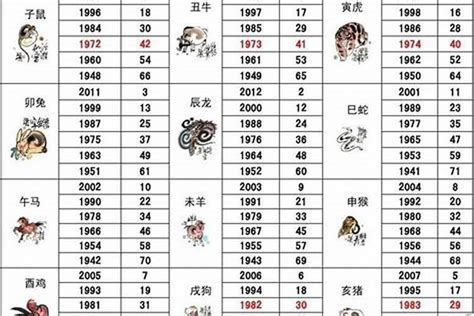 2005年属相|2005年1月出生属什么生肖